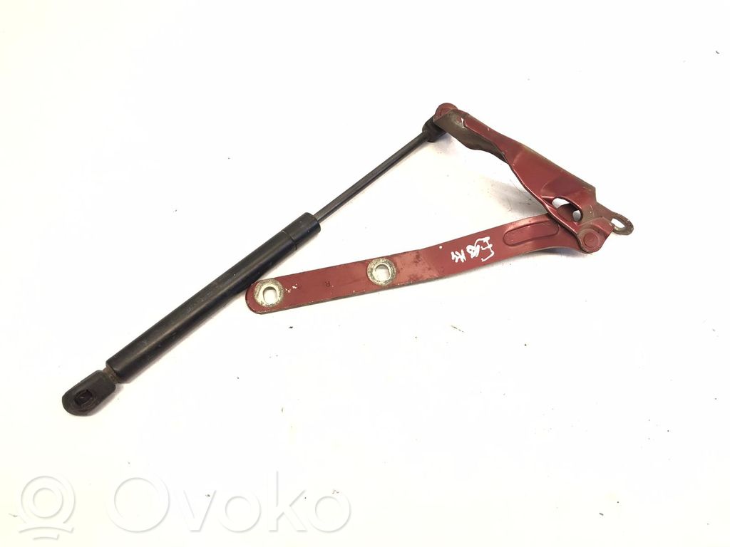 Engine bonnet/hood hinges