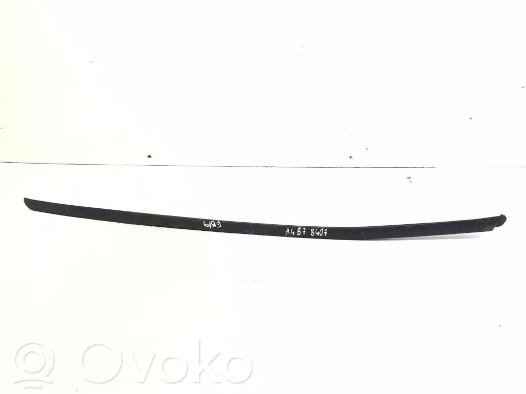 Audi A4 S4 B7 8E 8H Windshield trim 