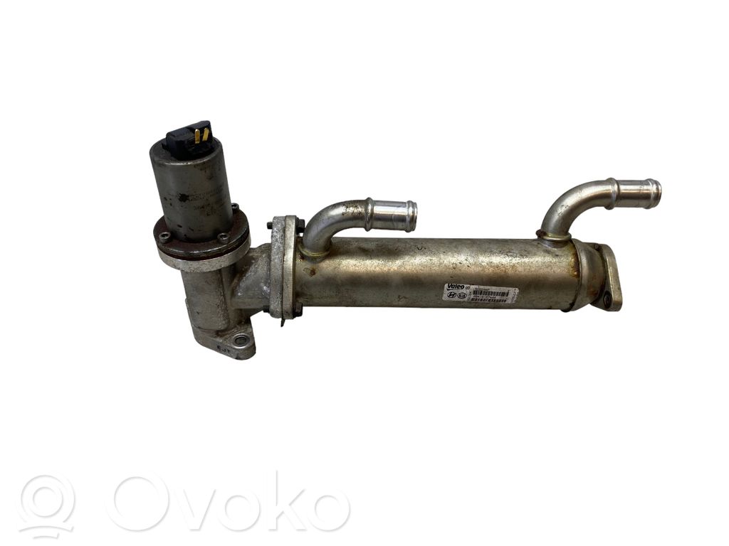Hyundai Sonata Răcitor supapă EGR 