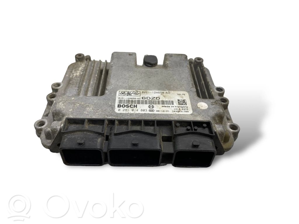 Ford Fiesta Engine control unit/module 