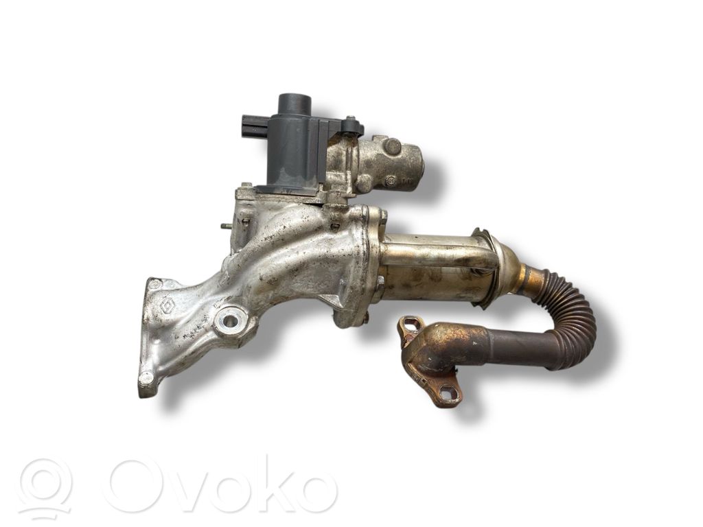 Renault Megane III Chłodnica spalin EGR 
