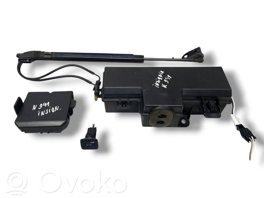 Opel Insignia A Tailgate hydraulic set 