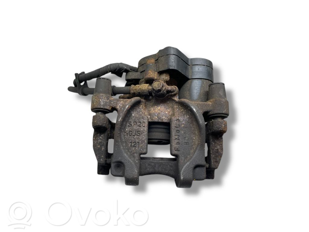 Takajarrusatula   DG9C2D251D,DG9C2D251D