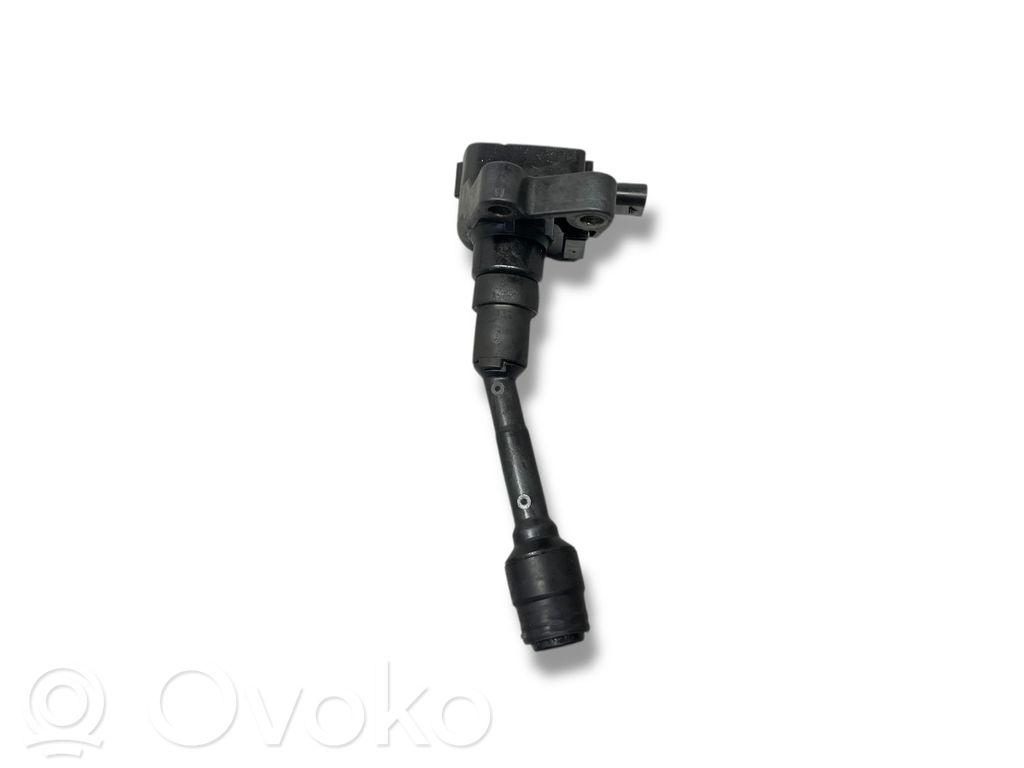 Suurjännitesytytyskela   CM5G12A366CA