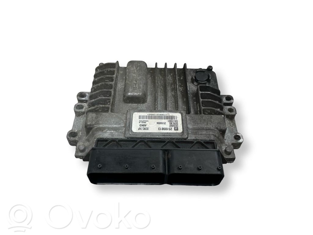 Engine control unit/module   25189813,28359587,25184894