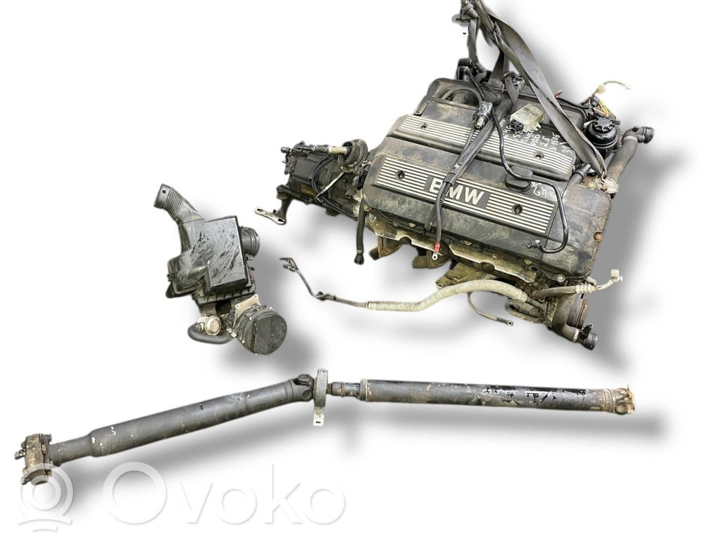 Dzinējs   256S4,M52B25,M52