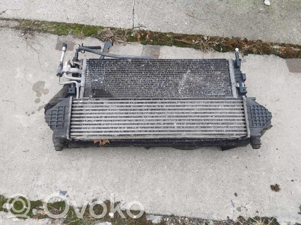 Elektrolüfter   8C607,3M5H8C607RJ