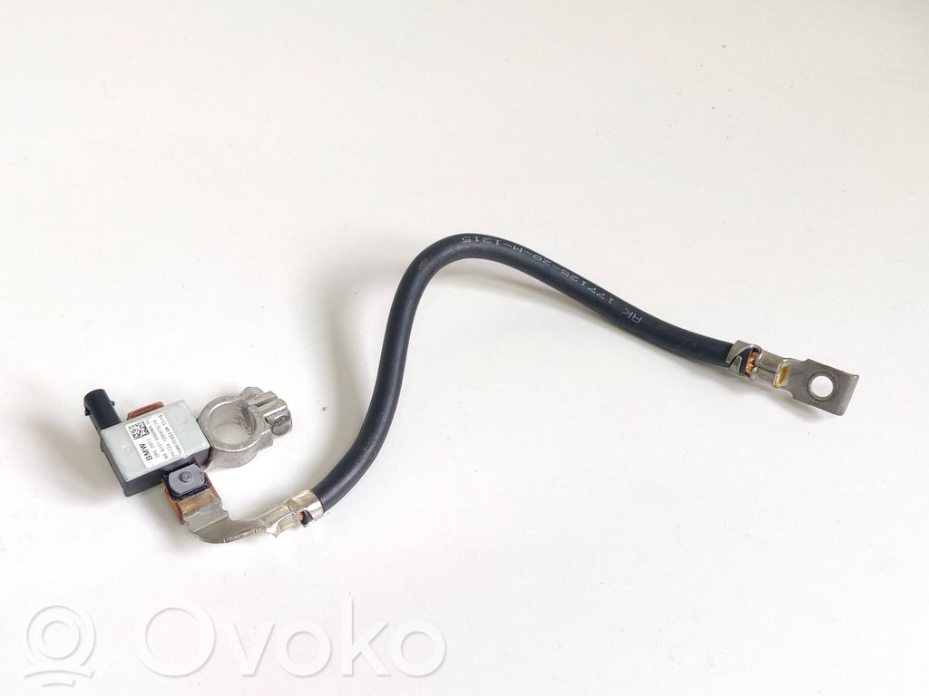 BMW X6 F16 Cable negativo de tierra (batería) 