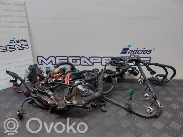 Engine installation wiring loom   242966803R
