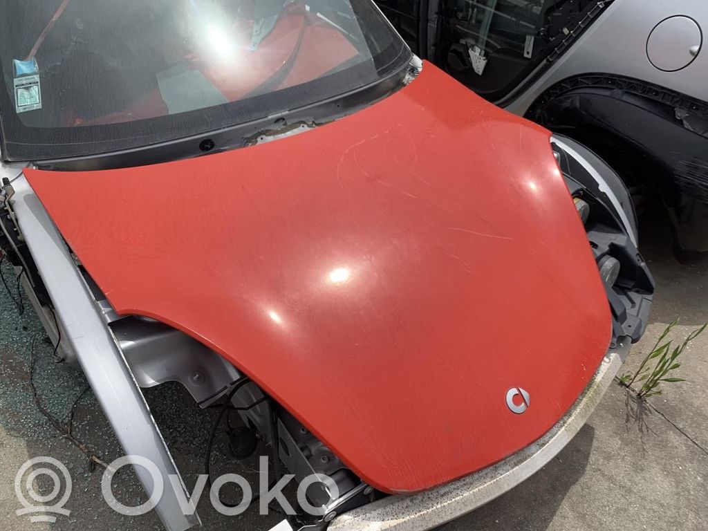 Dzinēja pārsegs (vāks)   9672V008000000