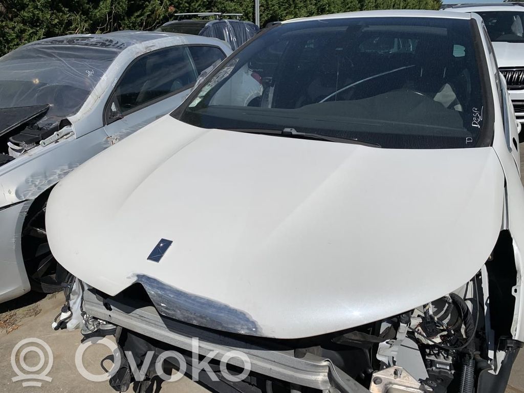 Motorhaube   7901S1,9822719680