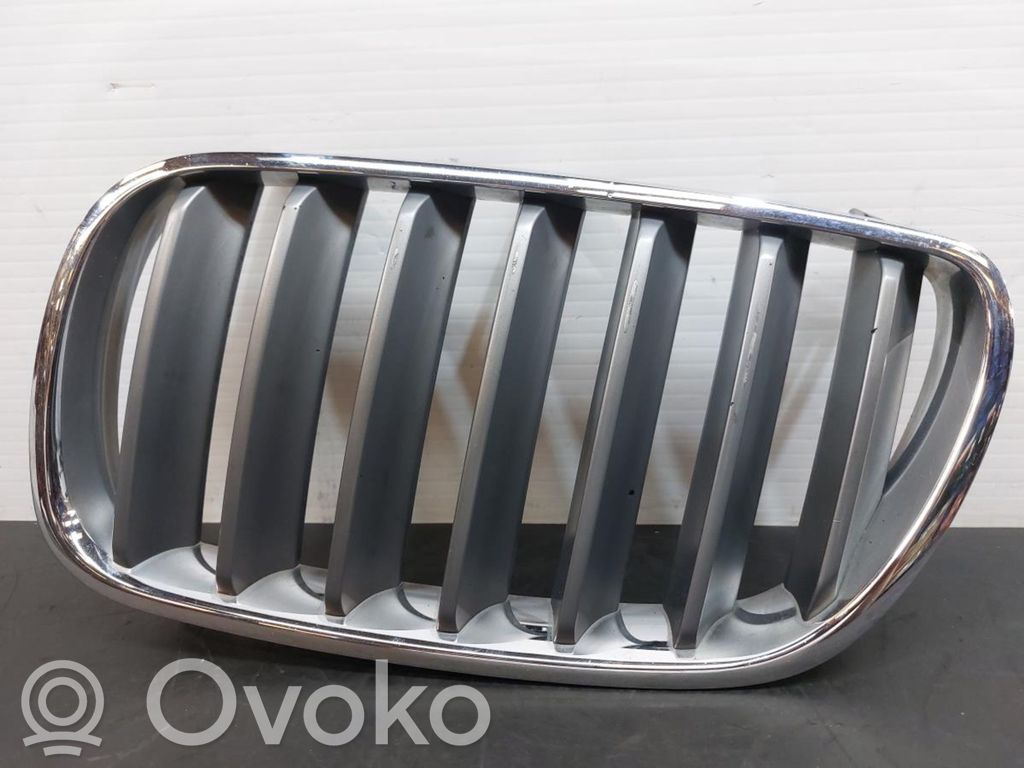 Kühlergrill   3420087
