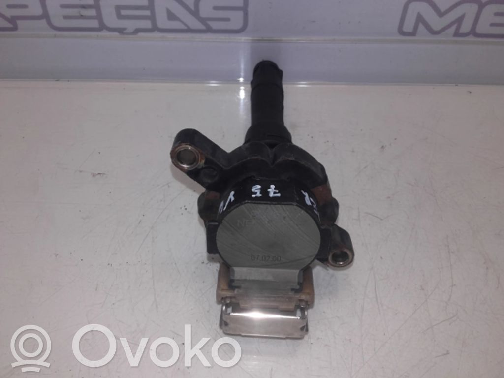 Zündspule Zündmodul   NEC101010,BREMI11894