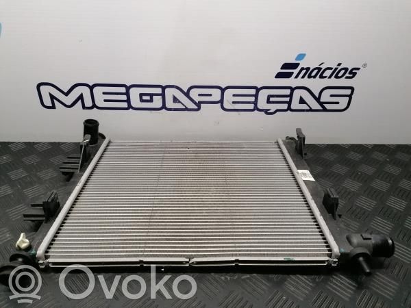 Hyundai i10 Radiator lichid răcire 