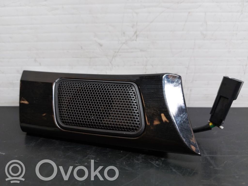 Altavoz del panel   20804209