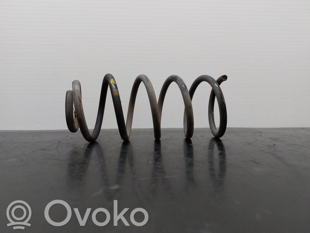 Front coil spring