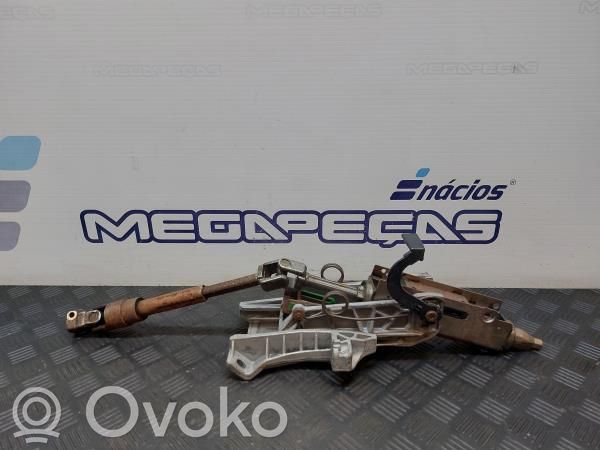 Ford Focus Vairas 