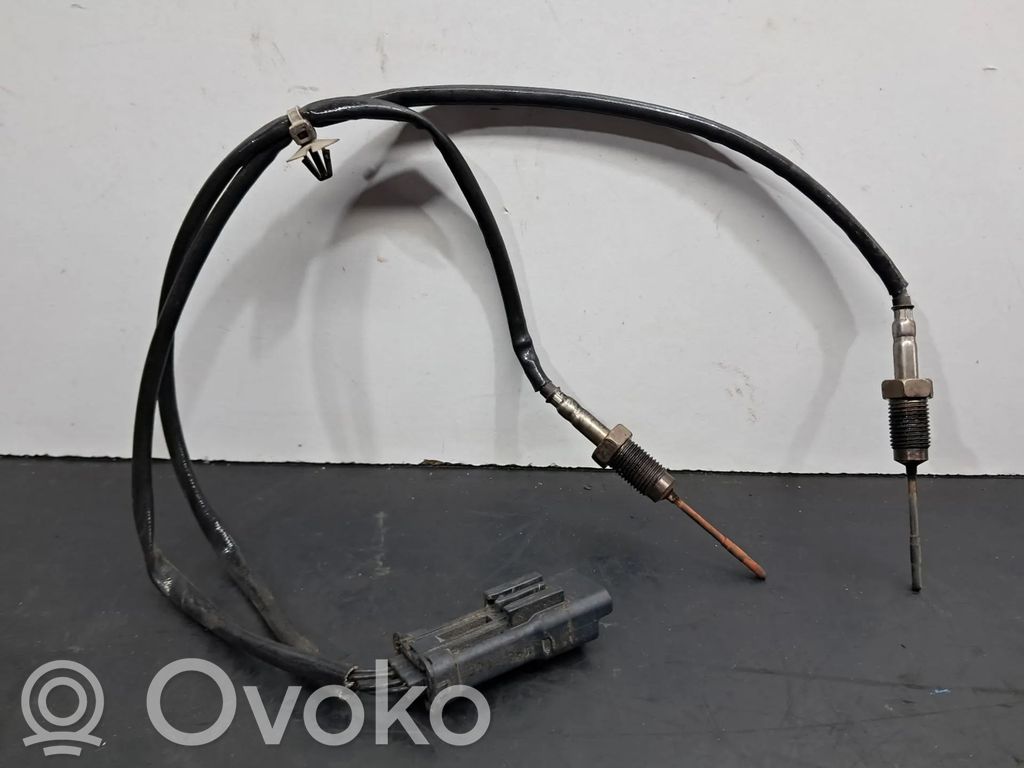 Abgastemperatursensor   9807562780