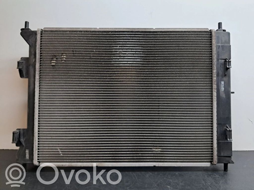 Radiateur de refroidissement   253101K000,R212YN9GA