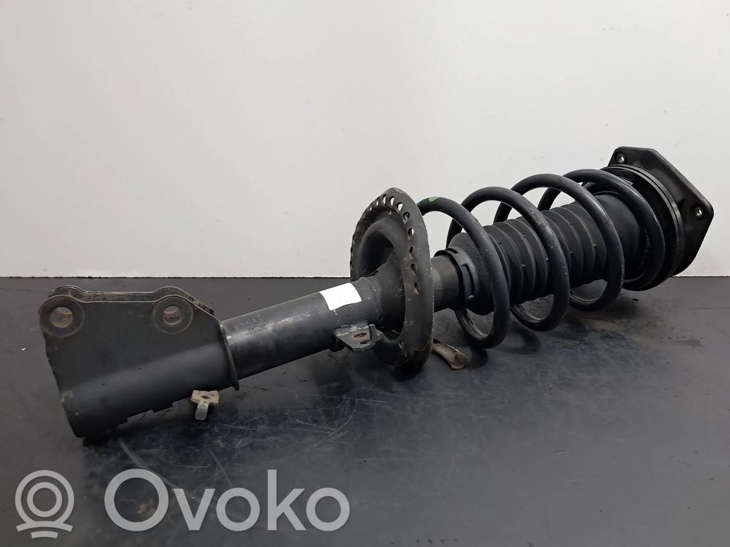 Stoßdämpfer vorne   543020572R