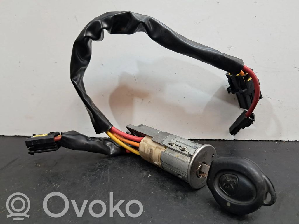 Ignition lock   369023,369023