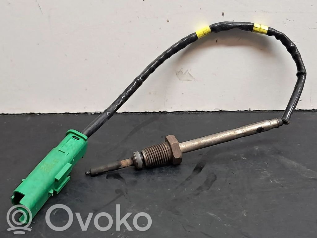 Land Rover Range Rover Evoque L538 Sensore della temperatura esterna 