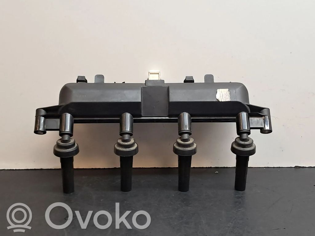 Aukštos įtampos ritė "babyna"   9654814480