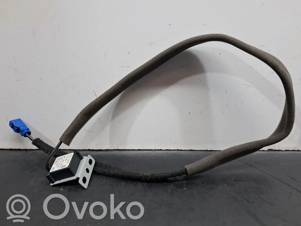 Amplificador de antena aérea   259759661R