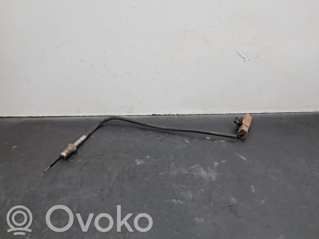 Abgastemperatursensor   1618NF,9665090280
