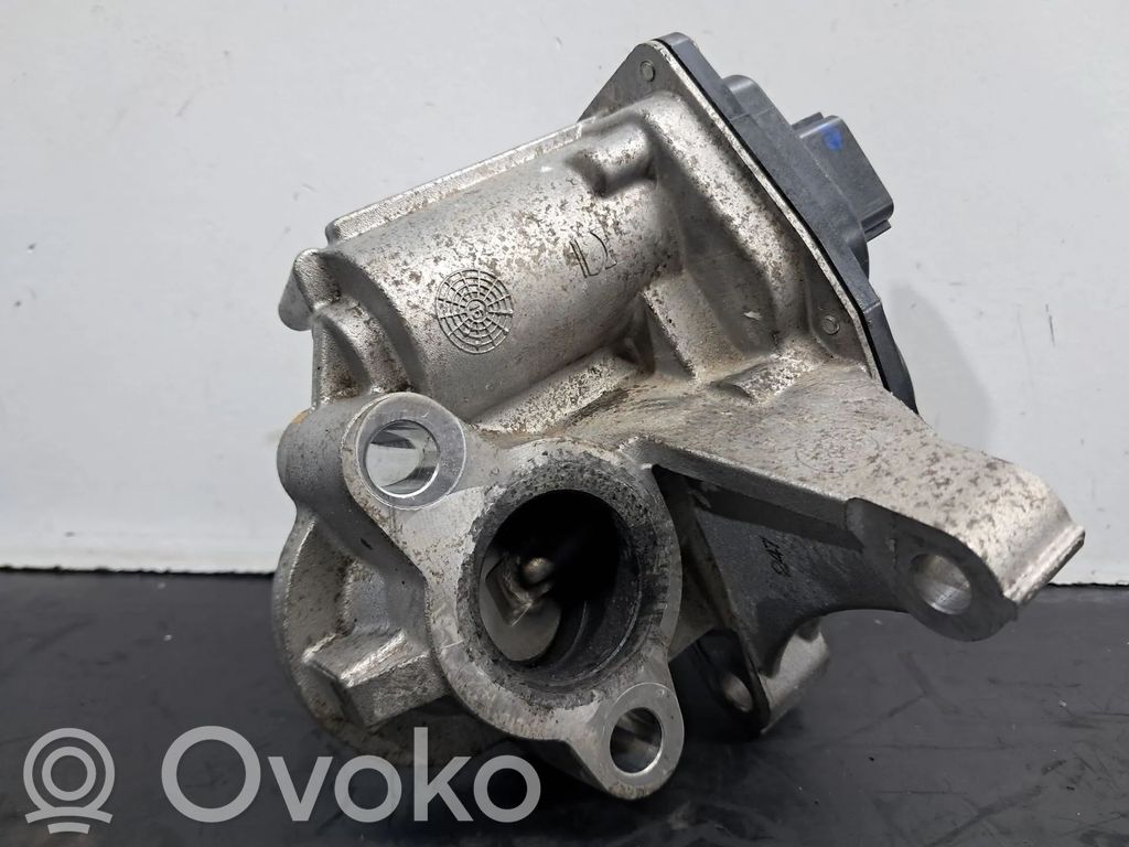 EGR-venttiili   147102408R,H8201068965