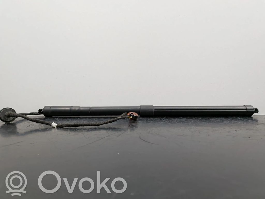 Tailgate/trunk strut/damper   904527505R