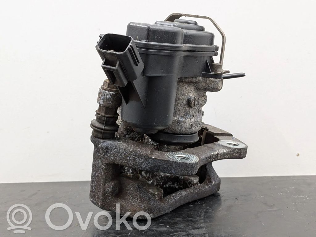 Takajarrusatula   440109274R,440111216R