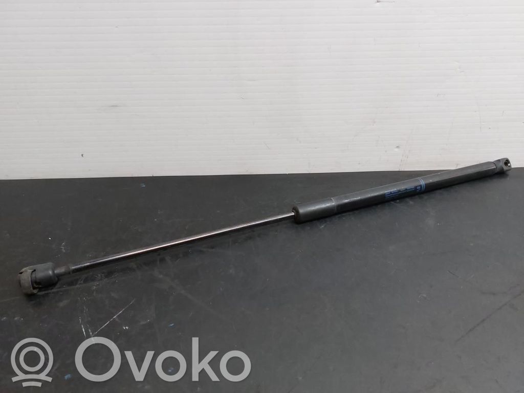 Tailgate/trunk strut/damper   8V4827552