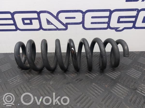 Rear coil spring