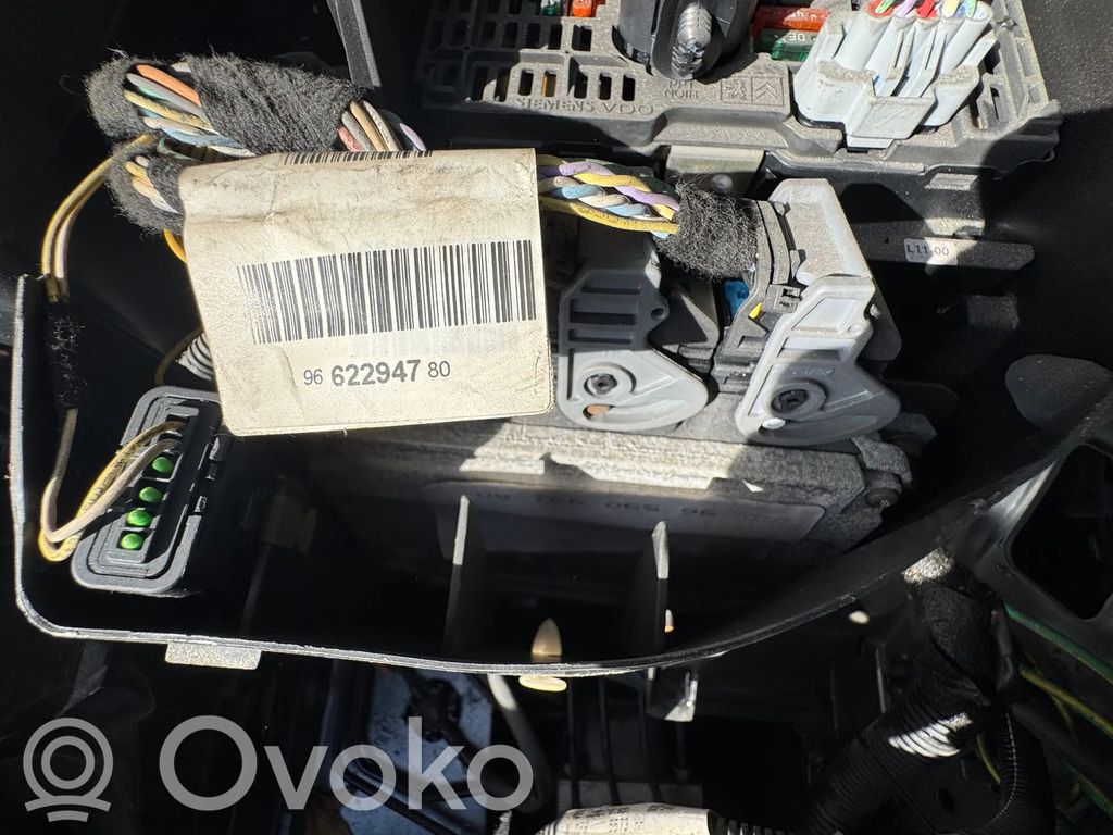 Engine control unit/module   9659099180