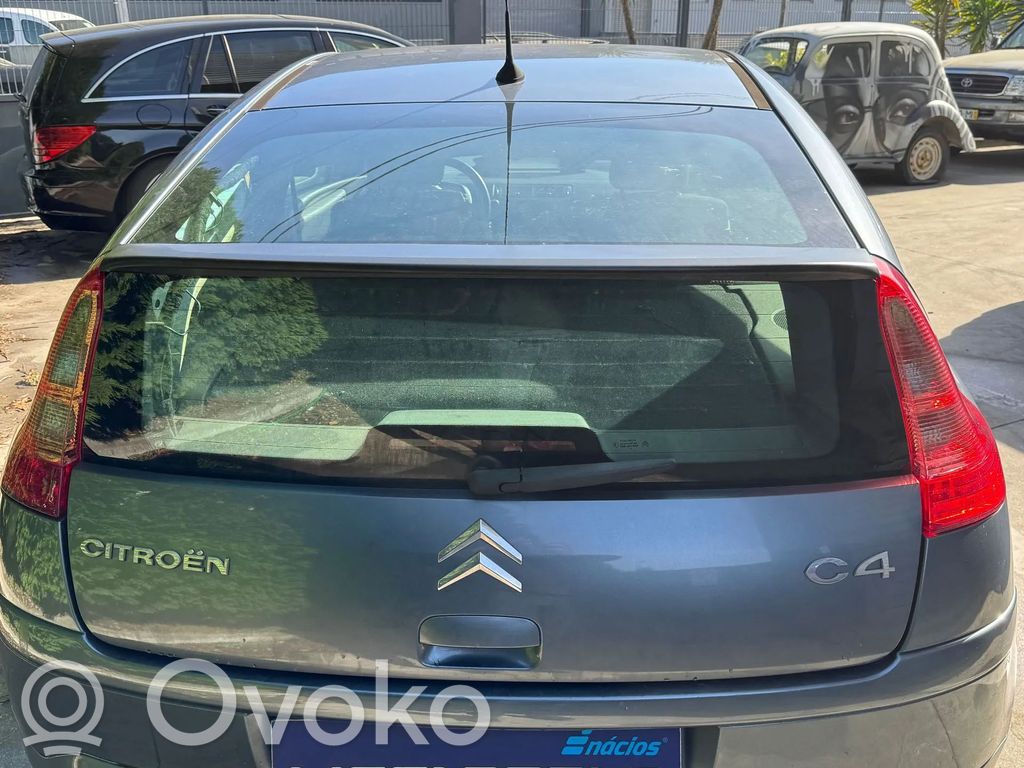 Tailgate/trunk/boot lid   8701V0