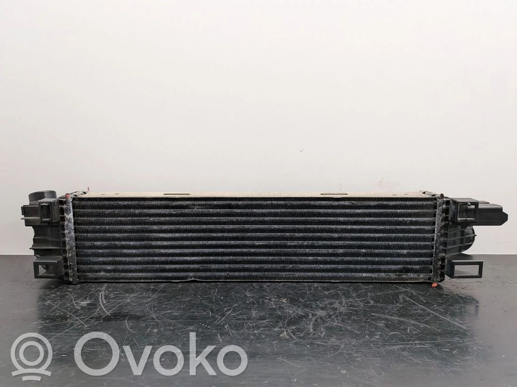 Interkūlerio radiatorius   144962019R,93868350