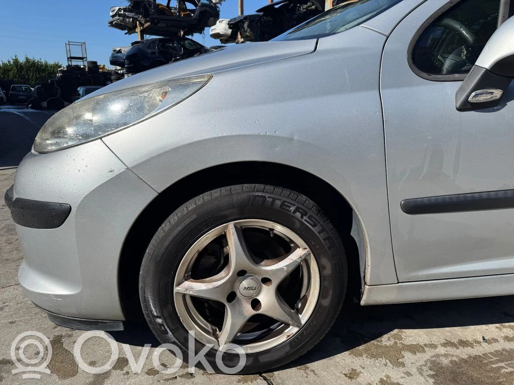 Peugeot 207 Aripă 