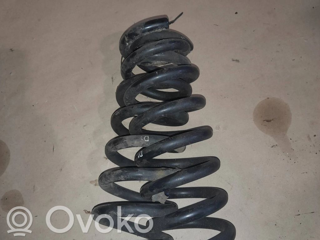 Rear coil spring