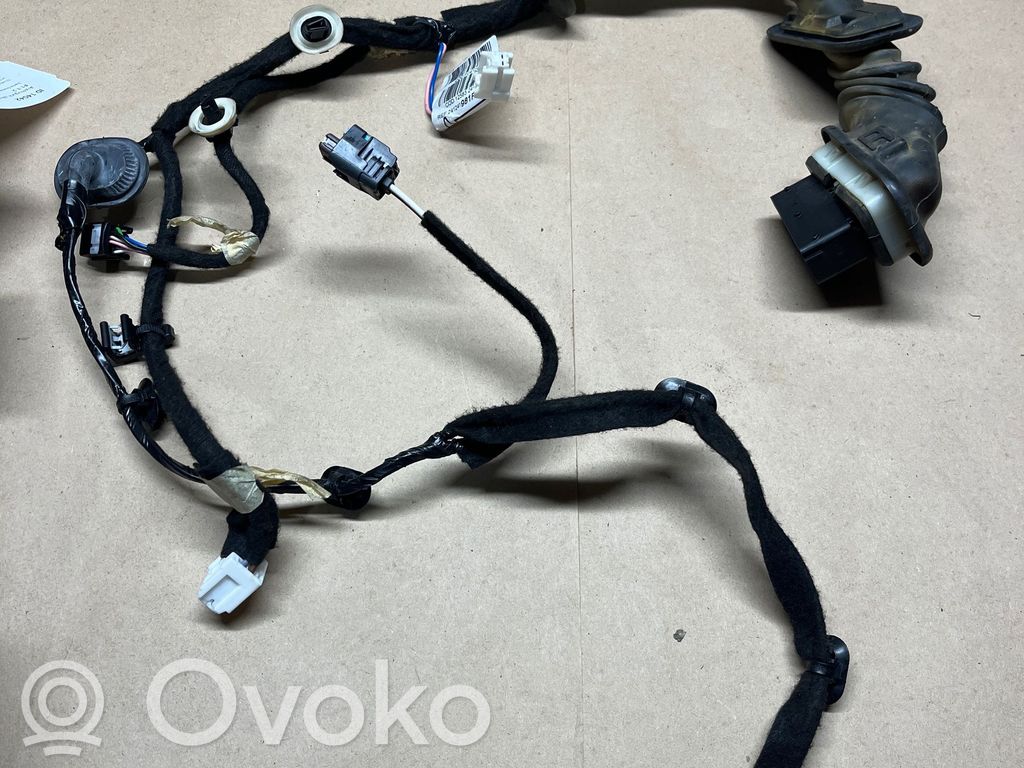 Cableado de puerta delantera   241241981R,12583241981R,2441219881R