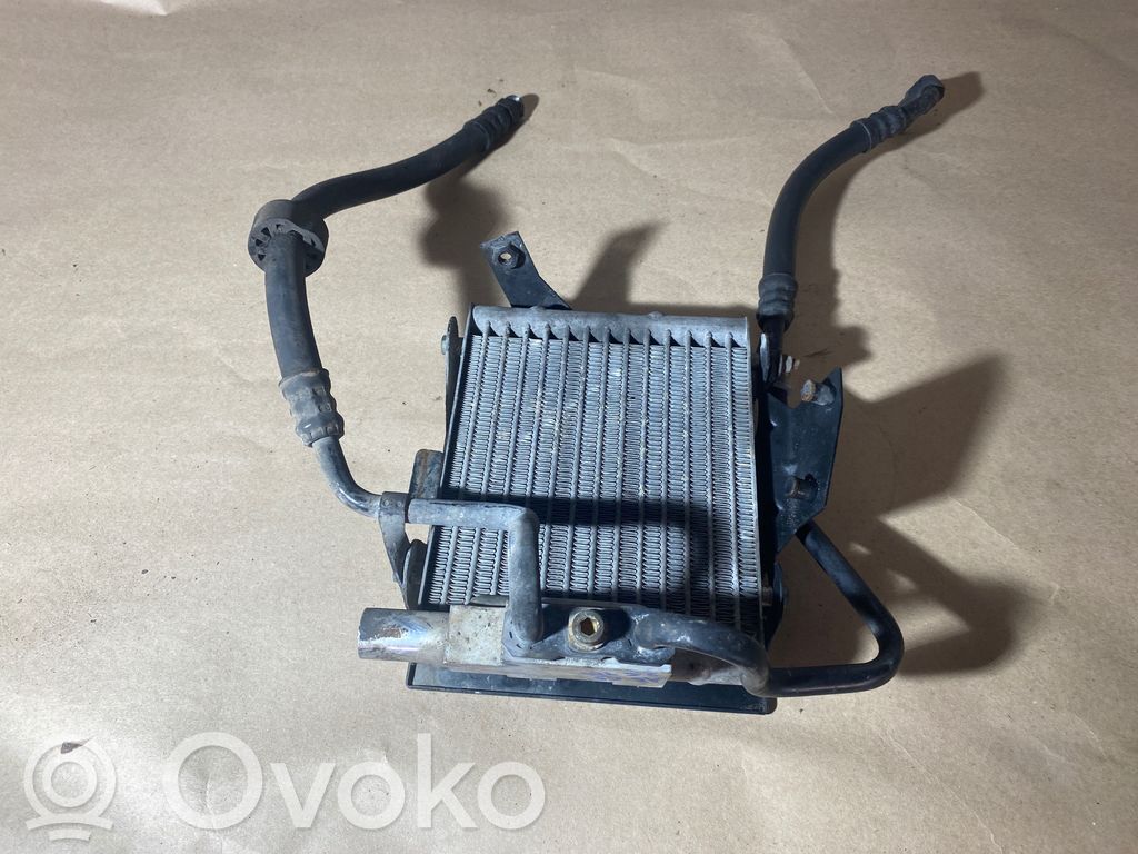 Audi A6 S6 C5 4B Variklio tepalo radiatorius 