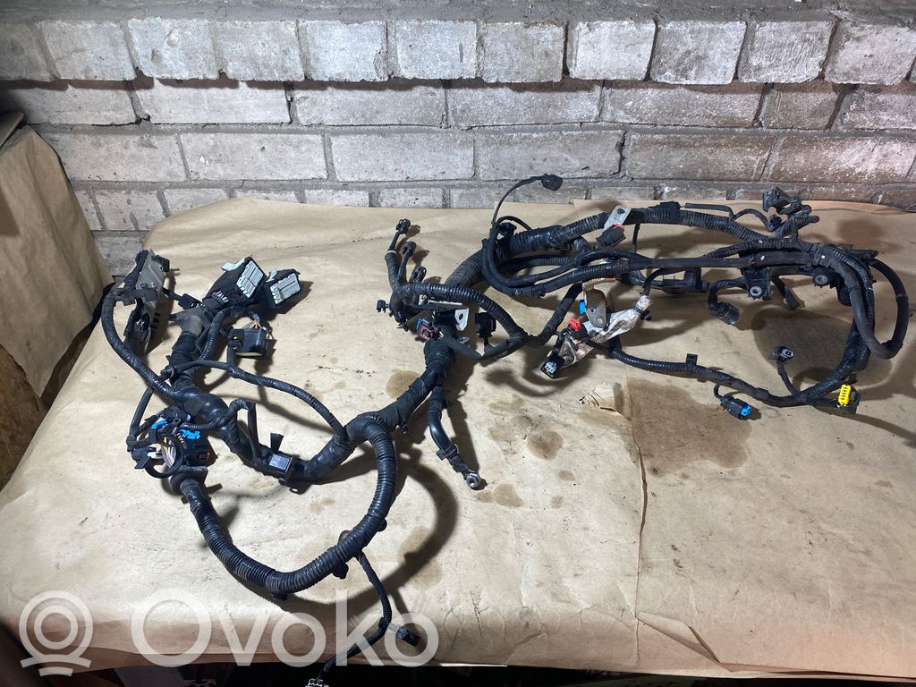 Ford Focus Engine installation wiring loom 