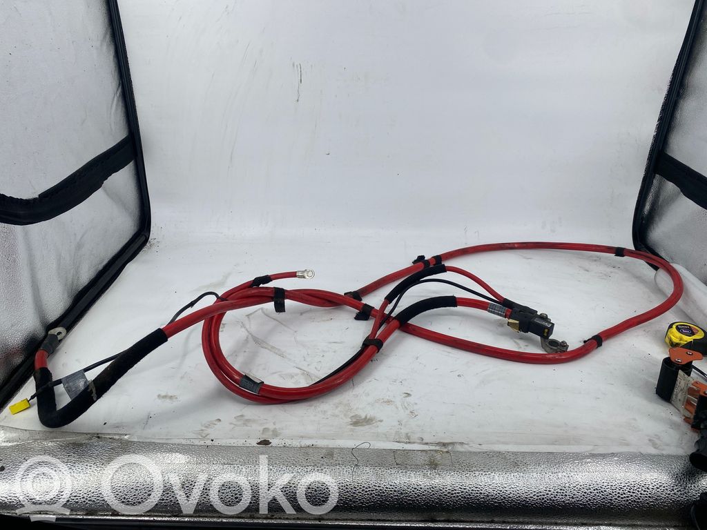 Plusa vads (akumulatora)   6906912,10304410