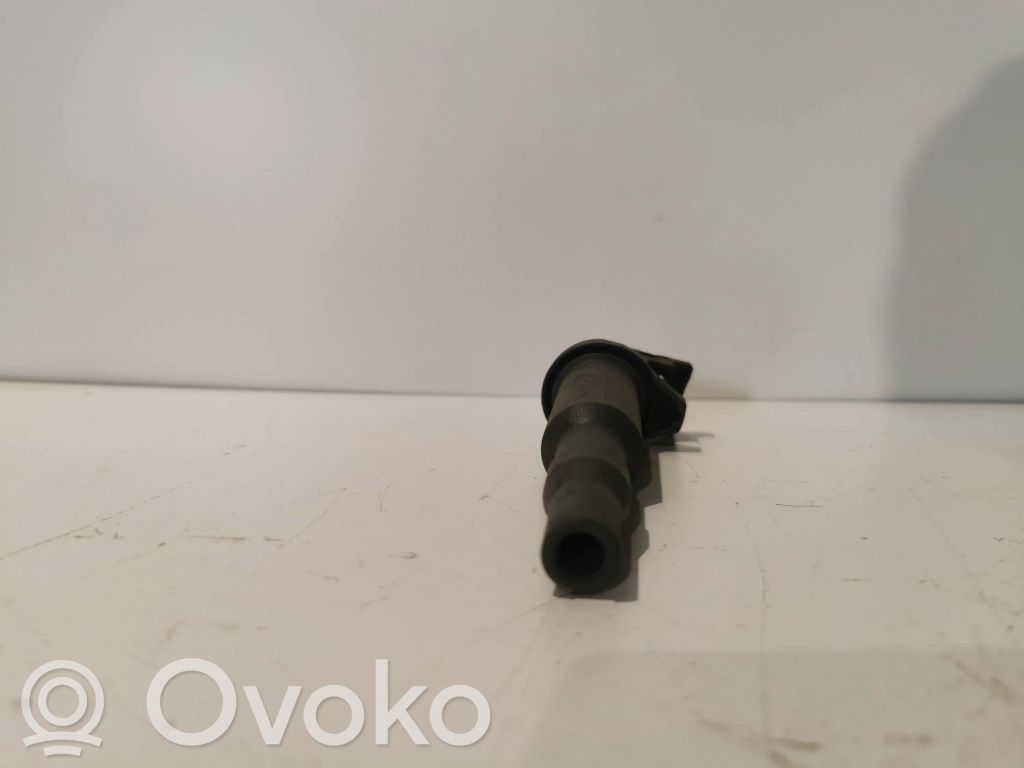 Aukštos įtampos ritė "babyna"   7638477,0221504471