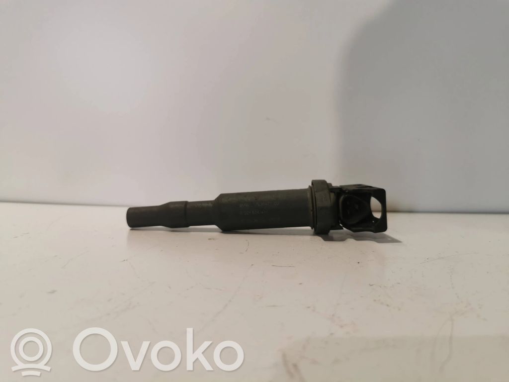 Aukštos įtampos ritė "babyna"   7638477,0221504471