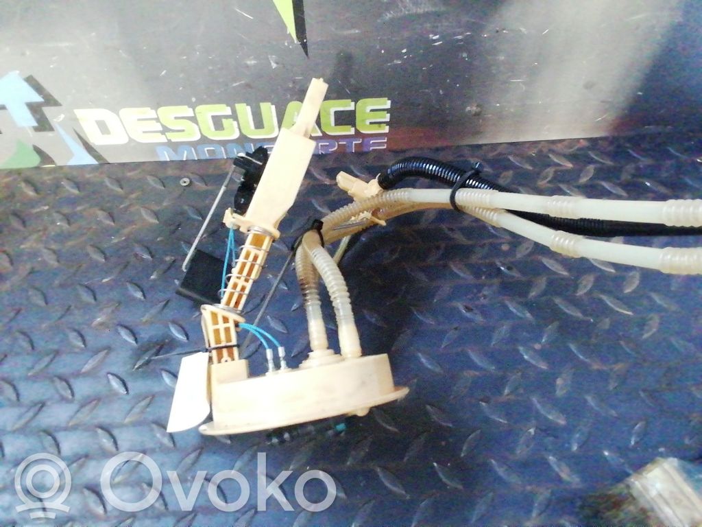 In-tank fuel pump   09070801