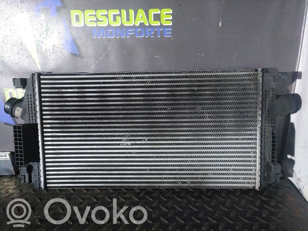 Interkūlerio radiatorius   13267647,0951A