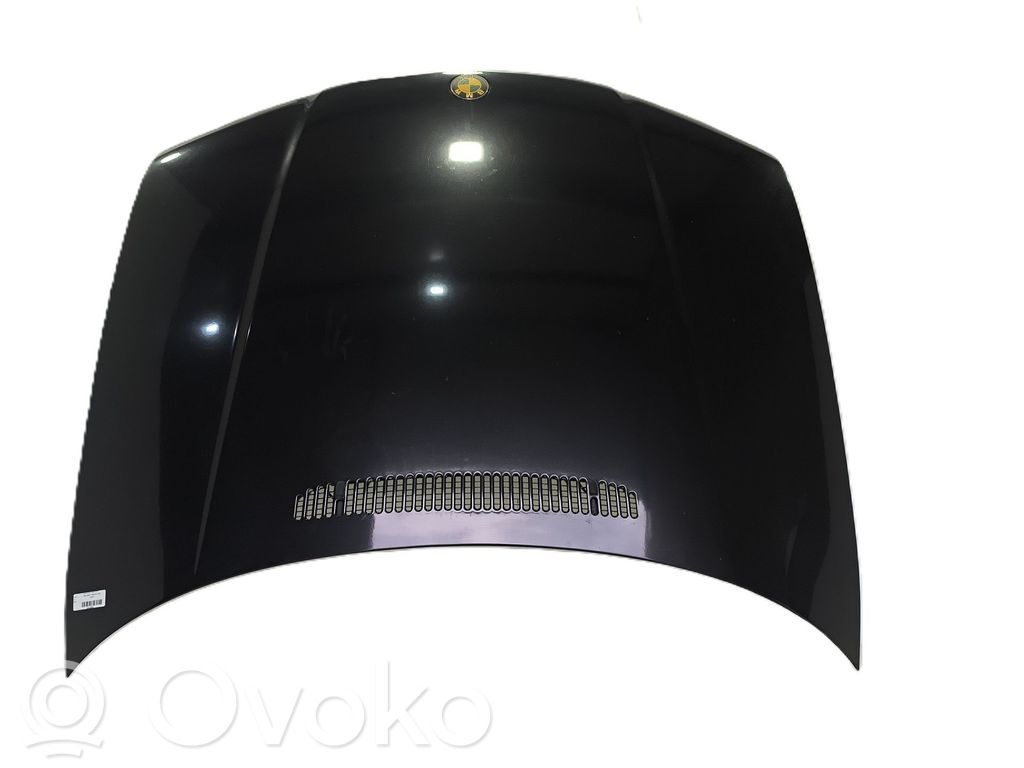 Dzinēja pārsegs (vāks)   41617016417