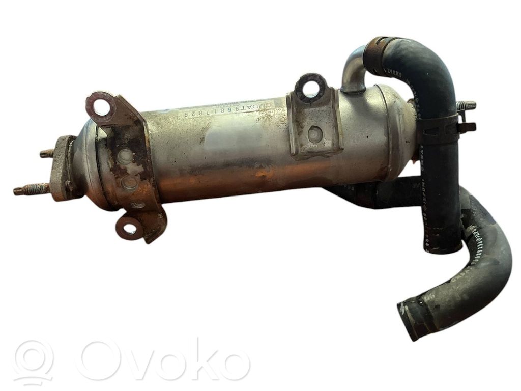 Opel Antara EGR-venttiili/lauhdutin 