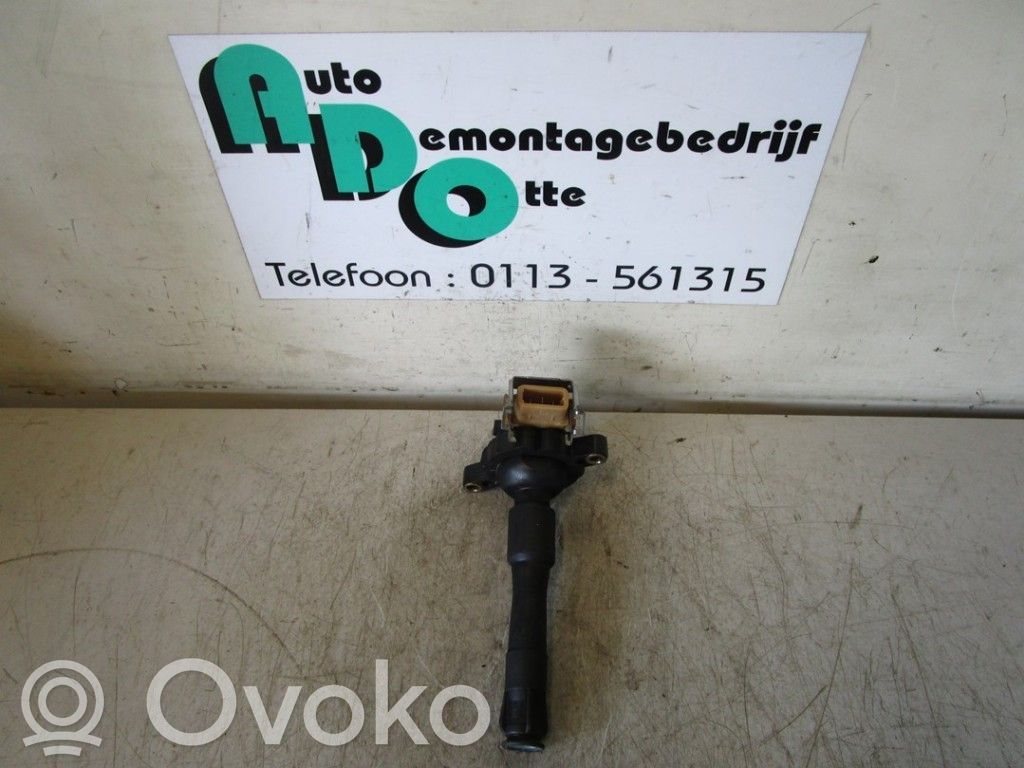 High voltage ignition coil   1748018,1748018,11859,11859,1748018